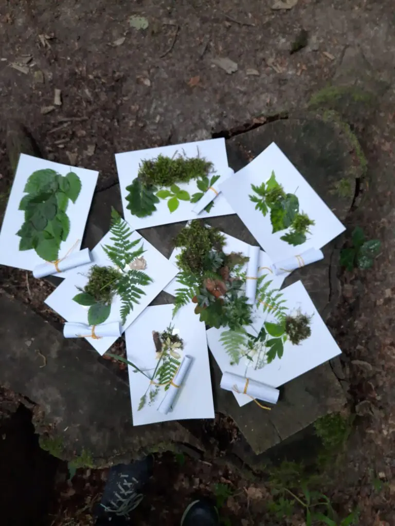 Pflanzen auf rechteckigen Papierblättern