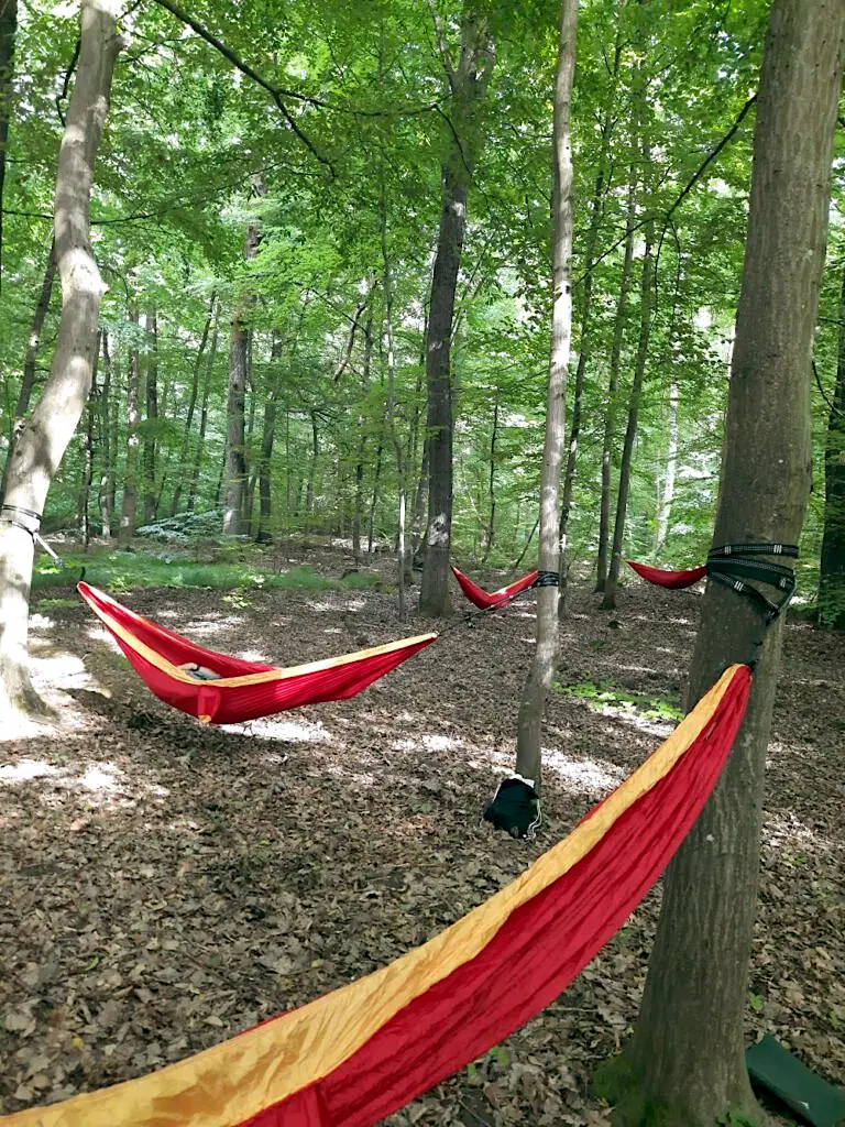 Hängematten im Wald